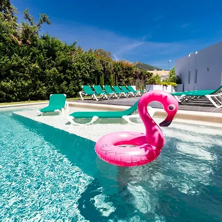 Flamingos Marbella