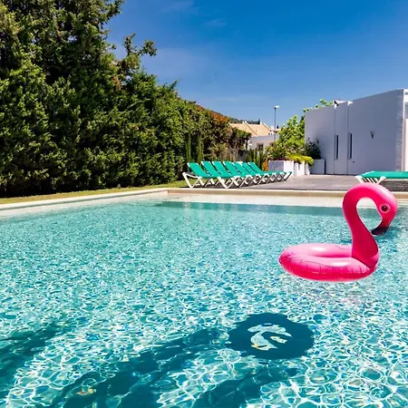 Flamingos